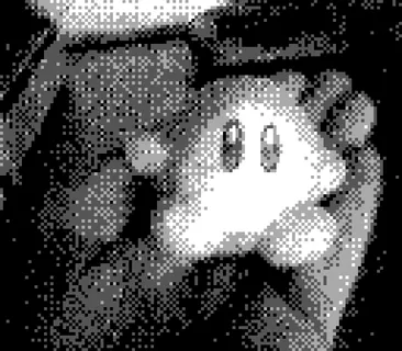 Game Boy Camera photo