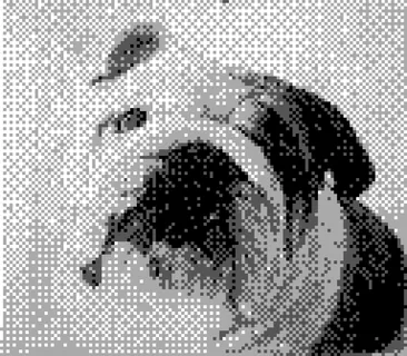 Game Boy Camera photo