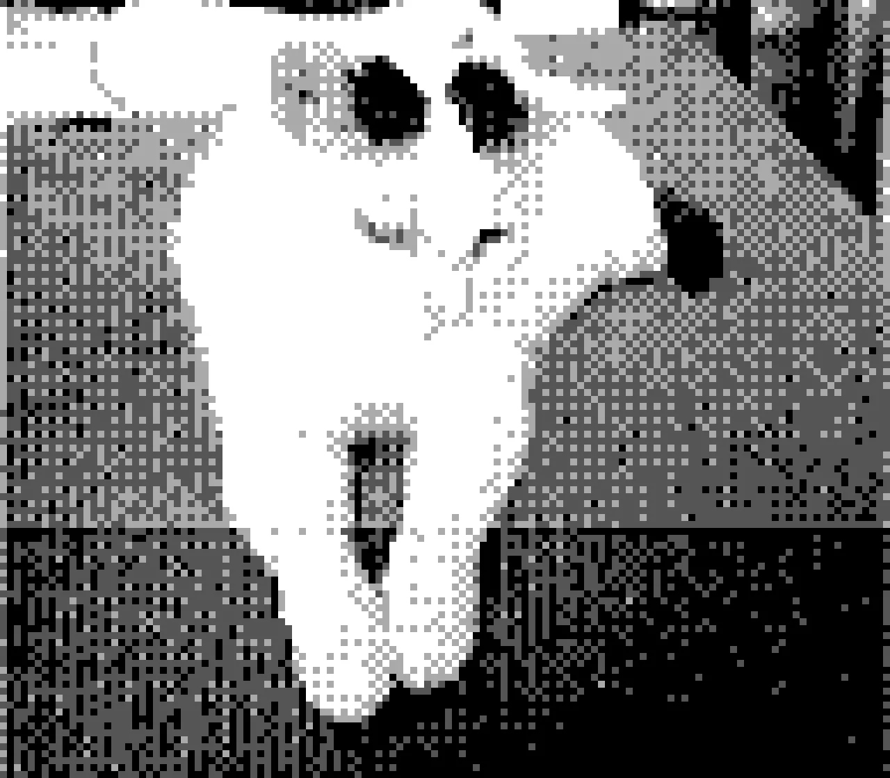 Cat shot in Hardware Mode on a Game Boy Camera